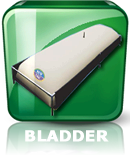 bladder